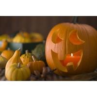 Halloween Observation