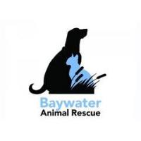 Choptank Tattoo Supports Baywater Animal Rescue