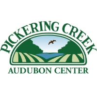 EcoCamp at Pickering Creek is Perfect for Curious Kids