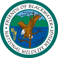 2025 Trapping Areas Open for Bids at Blackwater National Wildlife Refuge