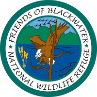Enter the Friends of Blackwater NWR 2026 Photo Contest