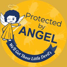 Protected By Angel