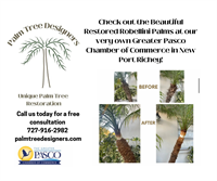 Gallery Image Check_out_the_Beautiful_Restored_Robellini_Palms_at_our_very_own_Greater_Pasco_Chamber_of_Commerce_in_New_Port_Richey.png