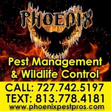 Phoenix Pest Management & Wildlife Control