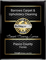 Best Carpet Cleaning Pasco County FL