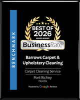 Best Carpet Cleaning 2026