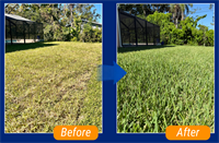 Gallery Image Before_and_After_Sod.png