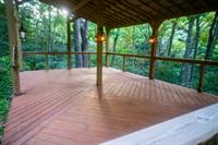 Gallery Image Hollow_Bone-9.jpg