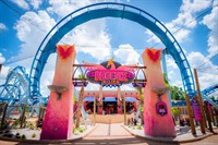 Phoenix Rising Bush Gardens Tampa