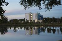 SpringHill Suites by Marriott Tampa Suncoast Parkway - Land O' Lakes