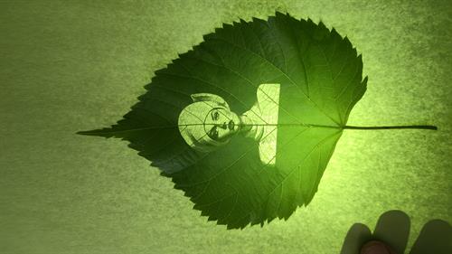 Even a leaf