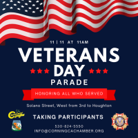 2025 Annual Corning Veterans Day Parade