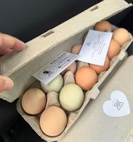 Self Serve Farm Stand