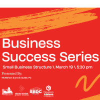 Business Success Series: Small Business Structure
