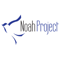 Finance Director  - Noah Project, Inc.