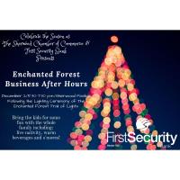 Enchanted Forest Business After Hours