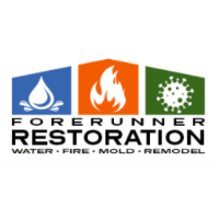 Forerunner Restoration and Remodel 
