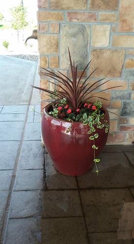 Create a beautiful first impression with customers-- let us install planters for you!