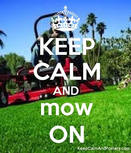 Complete Lawn Maintenance, including tree and shrub care, fertilization, weed control, pruing, deep root watering, etc.