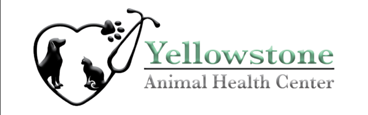 Yellowstone Animal Health Center