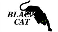 Black Cat Steel Erection and Crane Service