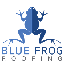 Blue Frog Roofing LTD