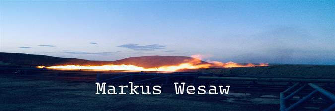 Markus Wesaw