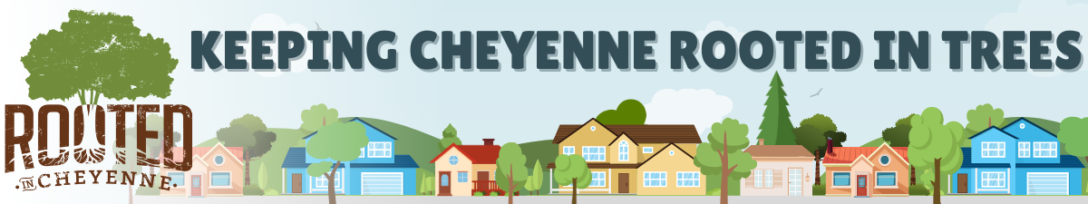 Rooted in Cheyenne