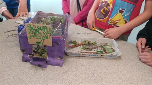 Learning about bugs & making bug homes