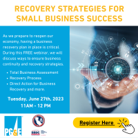 Recovery Strategies for Small Business Success 