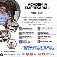 Academia empresarial virtual