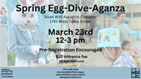 Spring Egg-Dive-Aganza