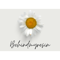 THE ARTIST CUBE - MILTON