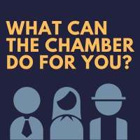 Chamber 101 | November Edition