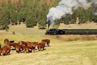 2141 Steam Locomotive