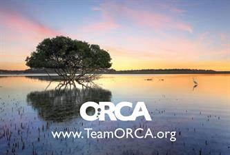 Ocean Research & Conservation Association (ORCA)