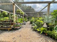 DIGG Gardens Plant Shop