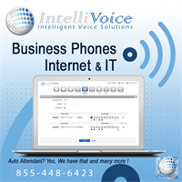 IntelliVoice - Business Phones Internet & IT