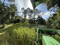 Land clearing & mulching