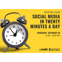Master Your Social Media in 20 Minutes a Day