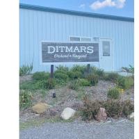 Forks, Corks & Brews - Ditmars Orchard Vineyard 