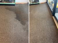 Carpet Cleaning - Commercial and Residential