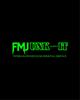 FMJunk-It