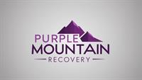 Purple Mountain Recovery