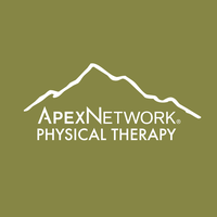 Physical Therapist 