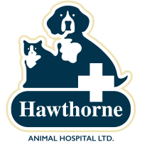 Hawthorne Animal Hospital - Troy