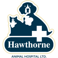 Veterinary Client Care Specialist