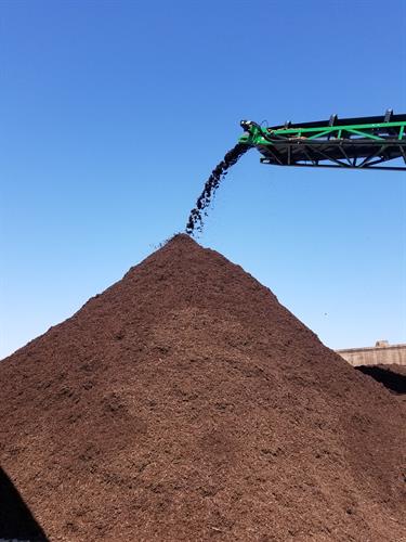 Sample Of Chocolate Brown Mulch
