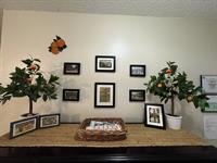Welcome Wall Featuring Vintage Photos of Local Attractions