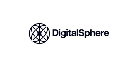 The Digital Sphere LLC The Digital Sphere LLC